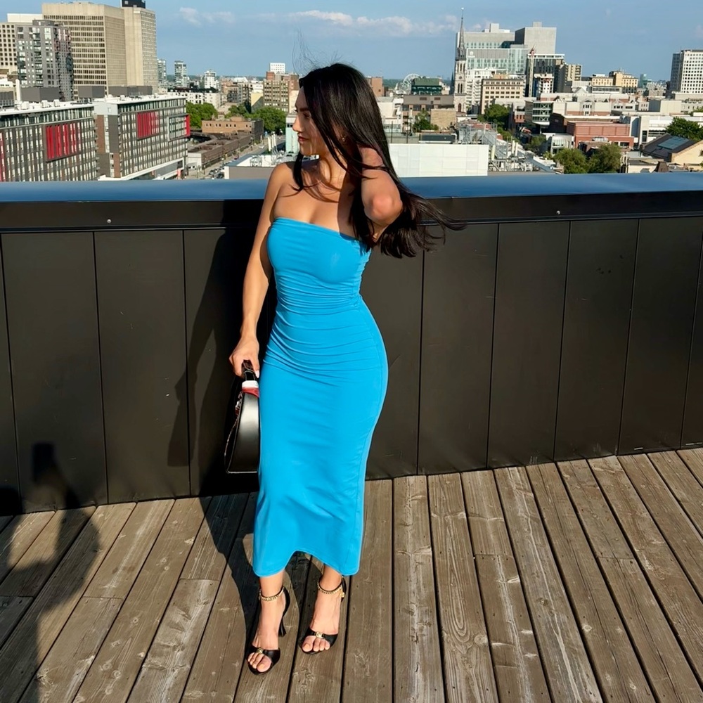 Aritzia Contour Chic Strapless Blue Dress